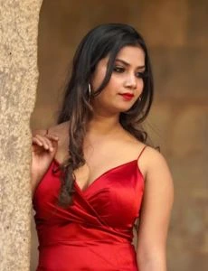 call girl service in Gobichettipalayam